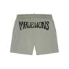 Malelions Men Boxer 2.0 Swim Shorts Dry Sage/Black
